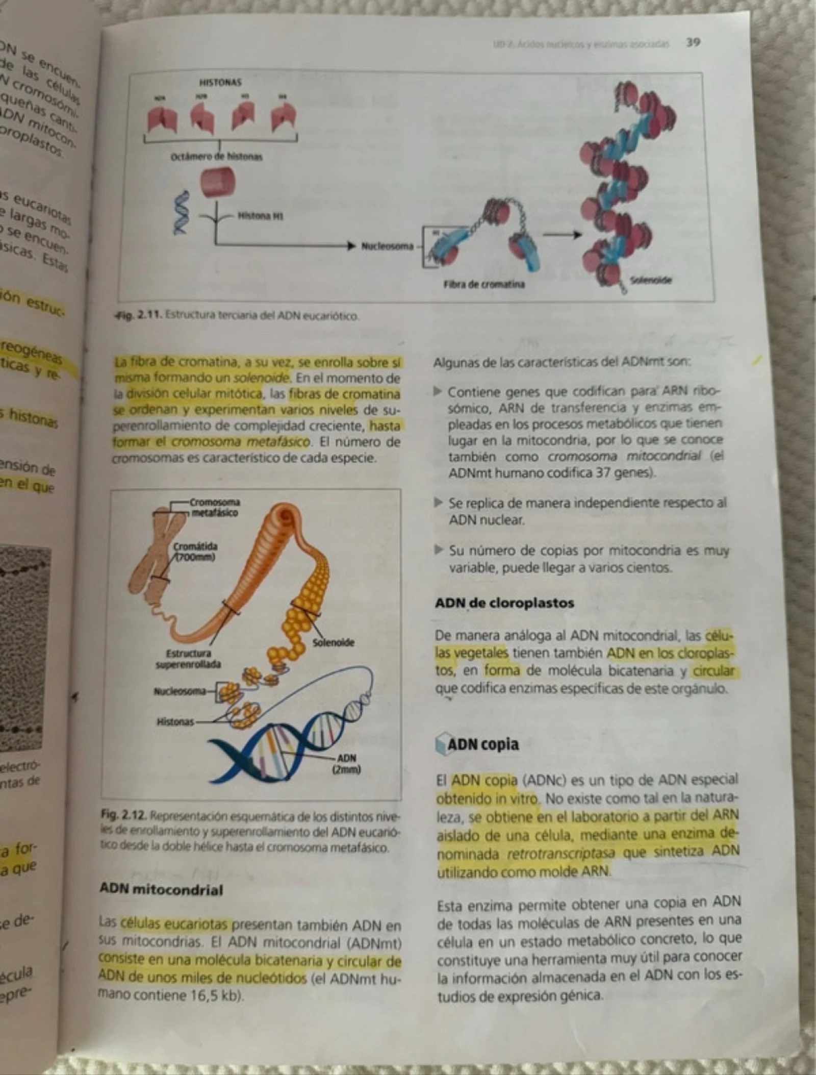 Biología molecular y citogenética – photo 4